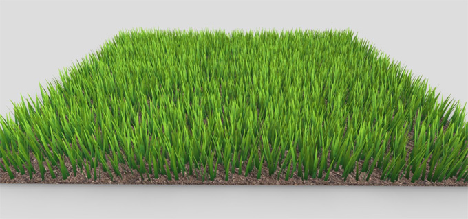 3D Models of Grass
