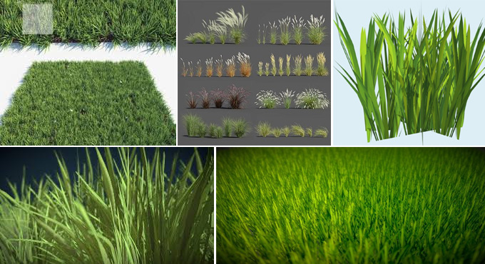 Discuss the Plugins for Creating 3D Grass Textures and Plant designs in the SketchUp