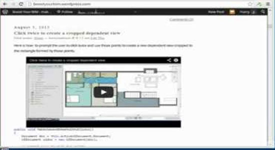 How to customize automate and improve Aautodesk Revit BIM Software