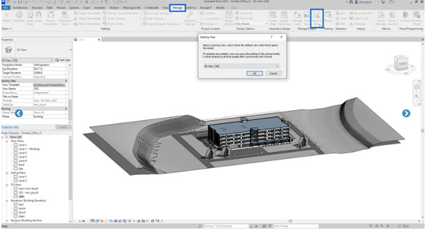 Revit starting view