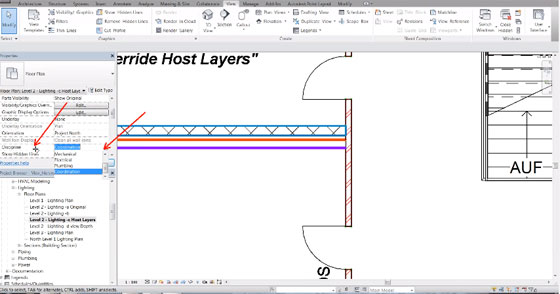 An exclusive Revit Video on the application Revit View Filters
