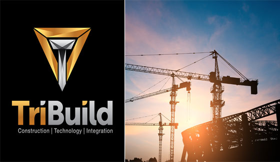 TriBuild Layout Design, a Layout Data Preparation Software for AutoCAD and Revit